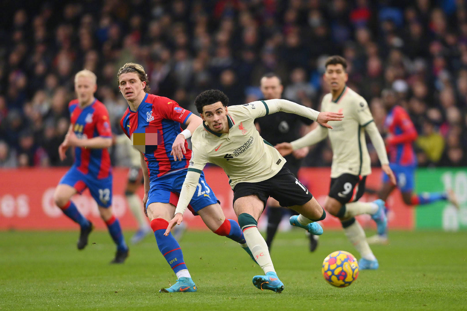 长的主场不 长的主场不